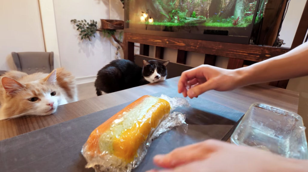 Chef japons prepara um terrine de geleia de peixe para seus gatos