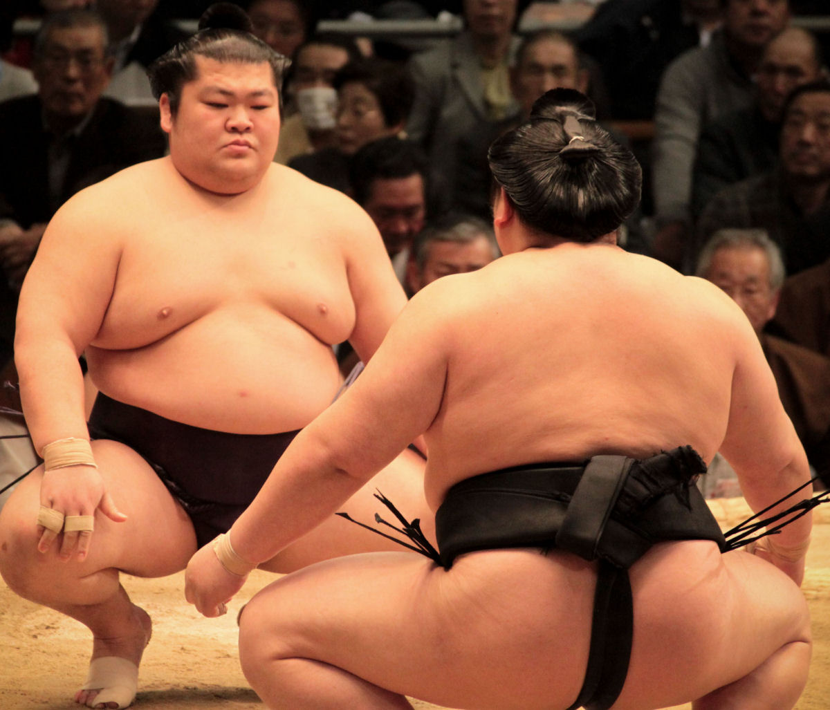 Por que quase não há japoneses obesos?