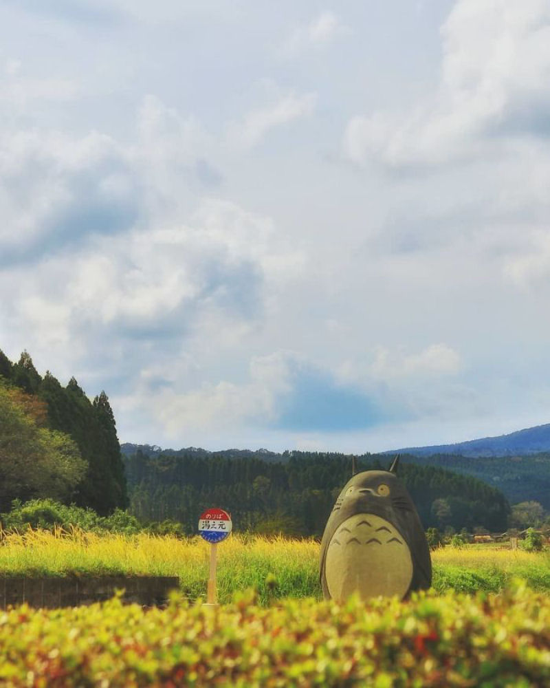 Avs criam parada Totoro da vida real para seus netos, que se torna atrao turstica viral 15