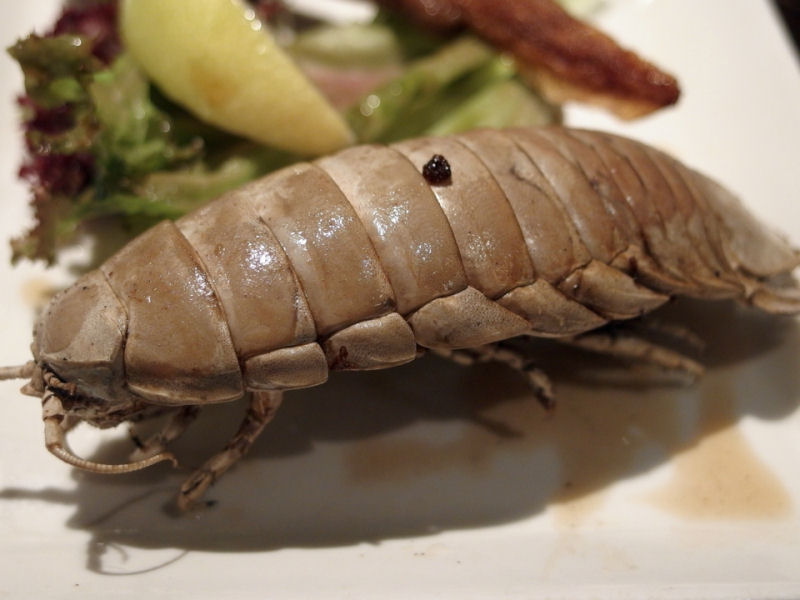 Este restaurante japons serve os pratos mais ultrajantes do mundo 10