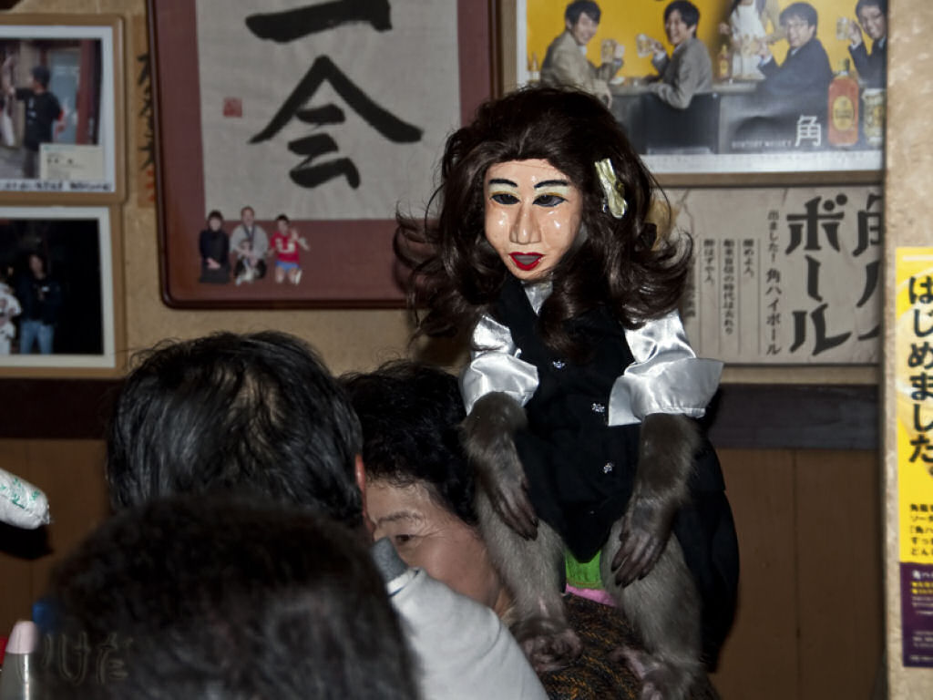 Restaurante japons emprega macacos mascarados como garons