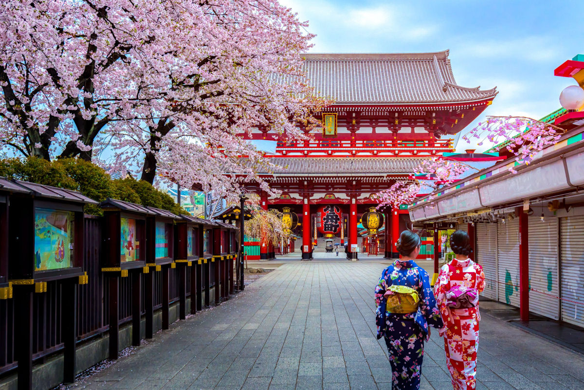 A temporada de Sakura começou oficialmente em Tóquio, Japão