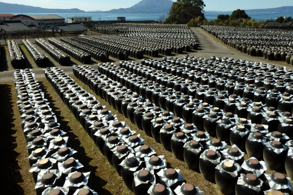 Como 52.000 potes so usados para envelhecer um raro vinagre escuro japons