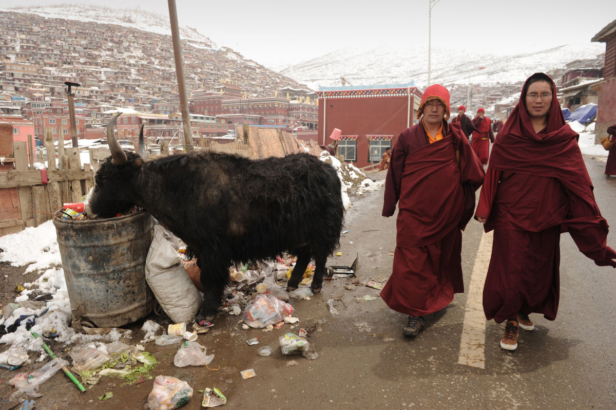 O espetacular monastrio de Seda encravado no plat tibetano a 4 mil metros de altura 09