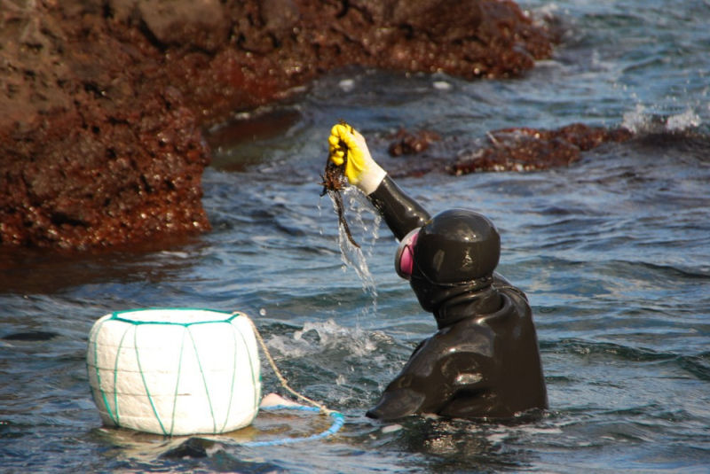 O que seria este ser panguando??? Hauhauhauha, Guarujá - Ou…