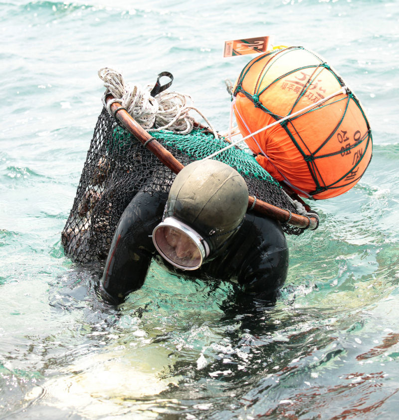 Haenyo as incrveis vovs mergulhadoras da Ilha Jeju 16