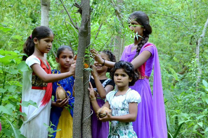 Vila indiana planta 111 novas árvores cada vez que nasce uma menina 01