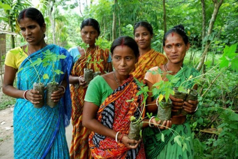 Vila indiana planta 111 novas árvores cada vez que nasce uma menina 03