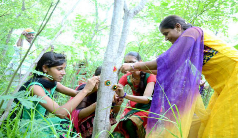 Vila indiana planta 111 novas árvores cada vez que nasce uma menina 04