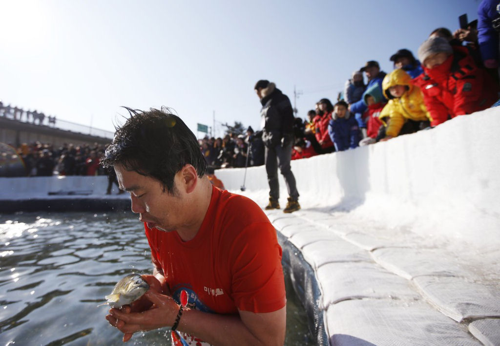 A pesca do gelo no Festival de Hwacheon Sancheoneo, na Coreia do Sul 09