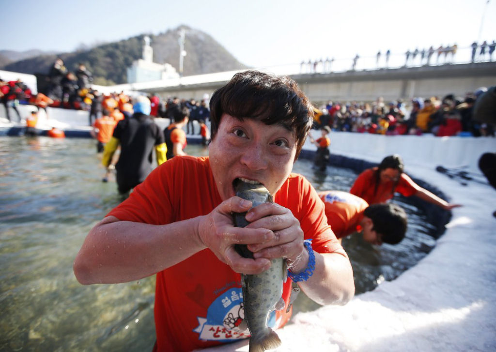 A pesca do gelo no Festival de Hwacheon Sancheoneo, na Coreia do Sul 10