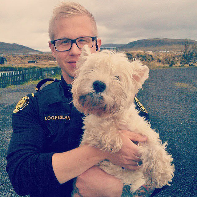 O Instagram do Departamento de Polcia de Reykjavik  pura alegria 13