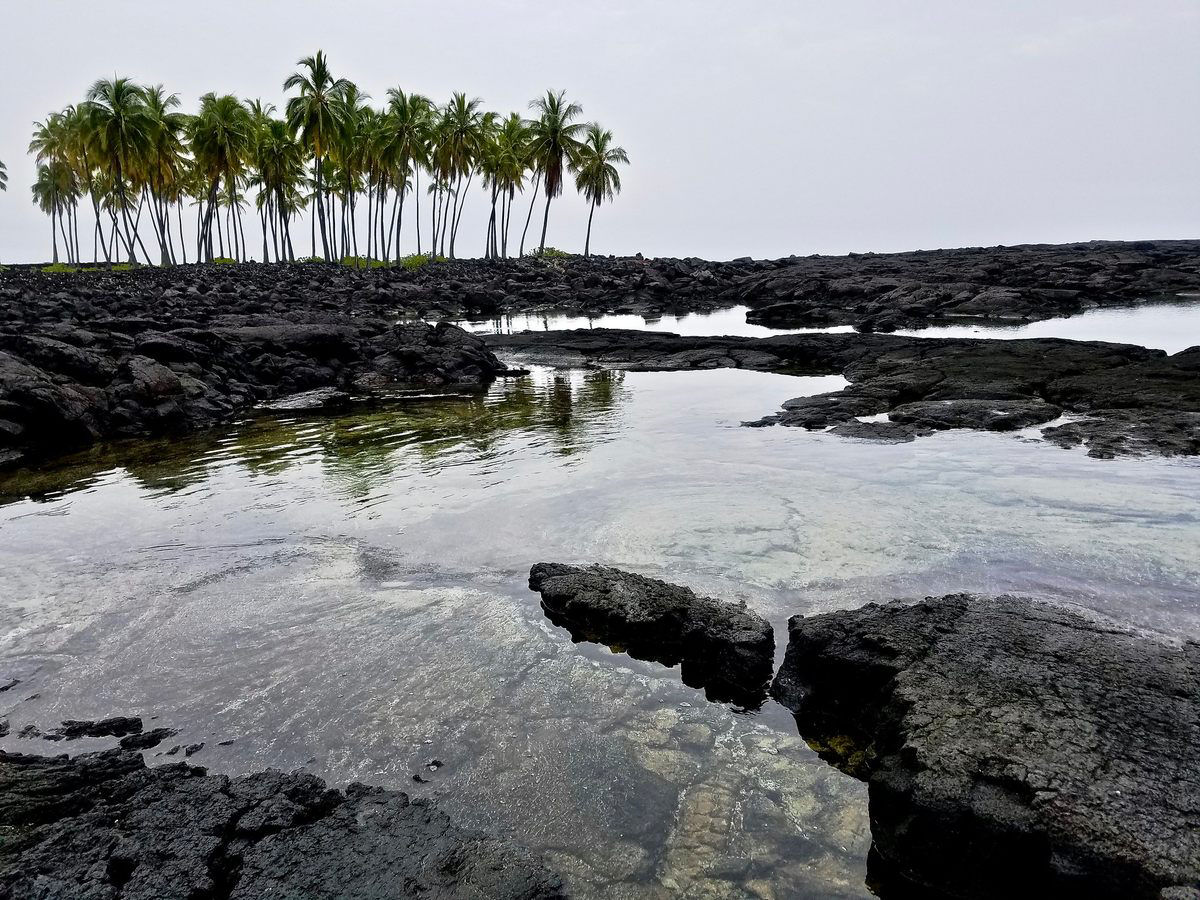 Pu'uhonua o Hōnaunau, os terrenos sagrados que concediam anistia a quem conseguisse alcan-los