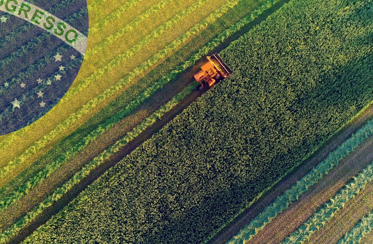 Como um pequeno pas como a Holanda se tornou o segundo maior exportador agrcola do mundo
