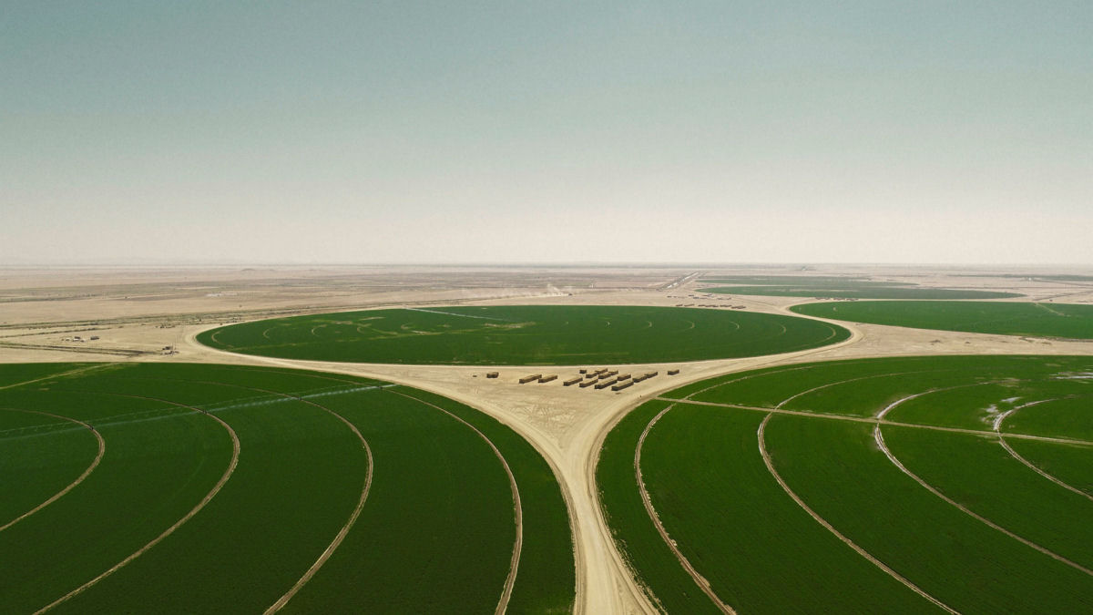 A Arábia Saudita está transformando seu deserto em terras férteis