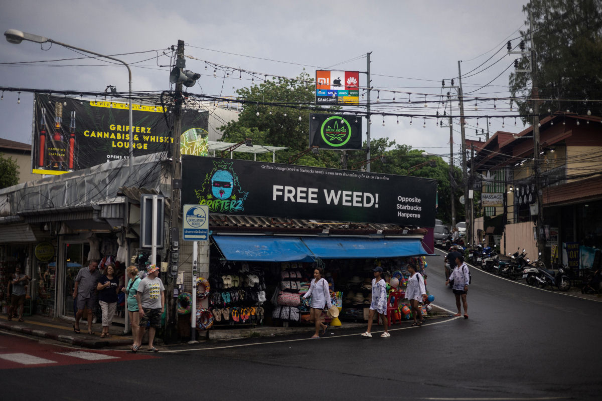 A florescente cultura da cannabis na Tailndia est ameaada enquanto o governo busca proibi-la