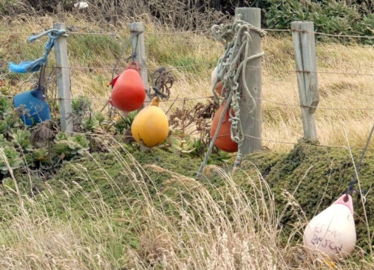 O costume bizarro neozelands de decorar cercas com lixo