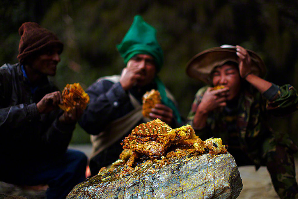 A fantstica arte dos coletores de mel silvestre do Himalaia 10