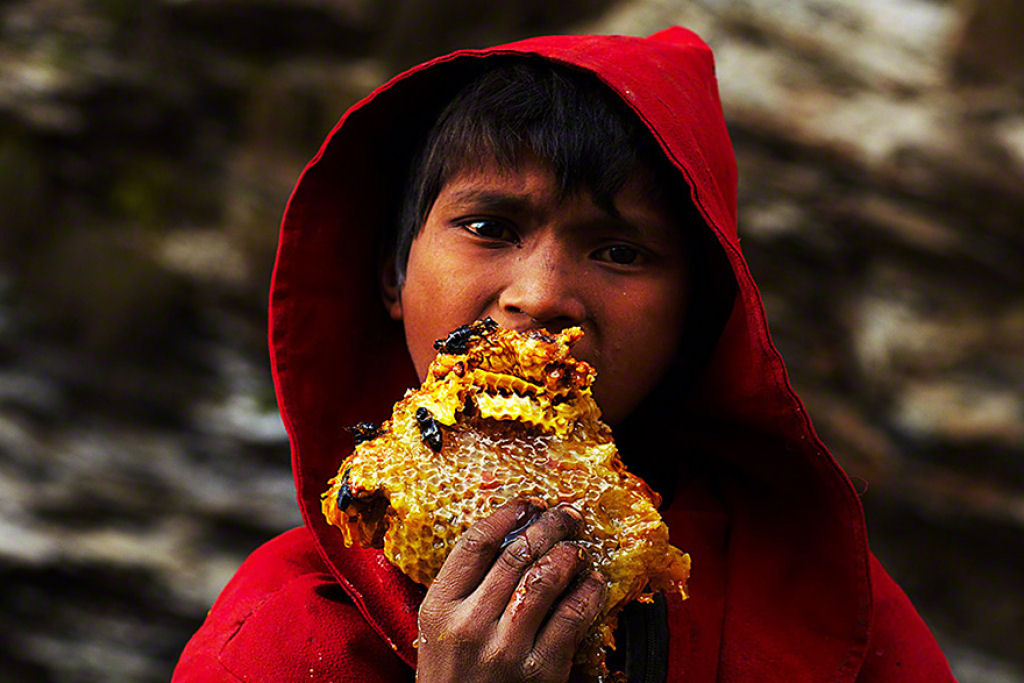 A fantstica arte dos coletores de mel silvestre do Himalaia 11