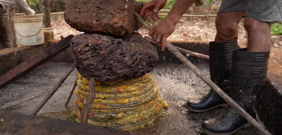 Famílias indianas mantém viva a tradição da aguardente de caju de 500 anos