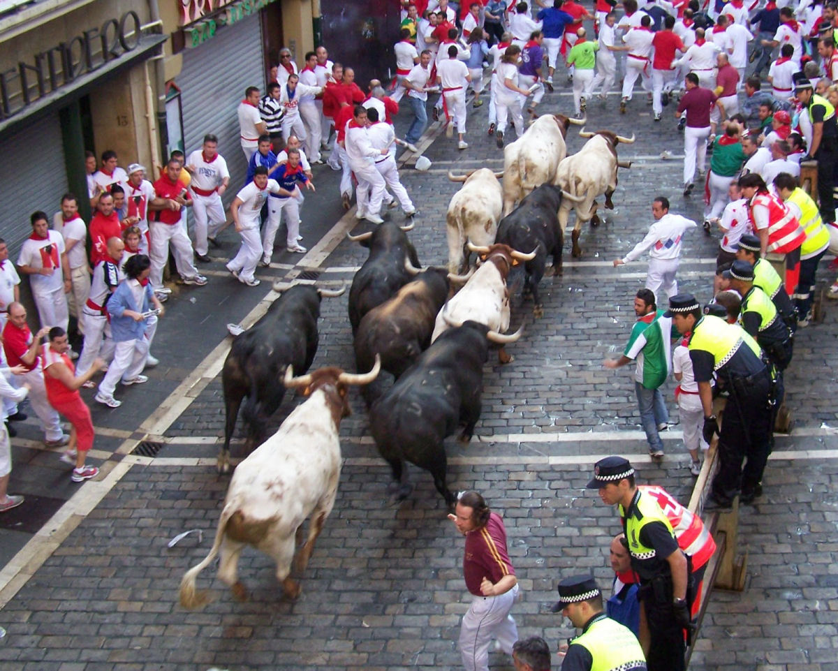 Corrida de touros de Pamplona  uma festa de rua insana 13