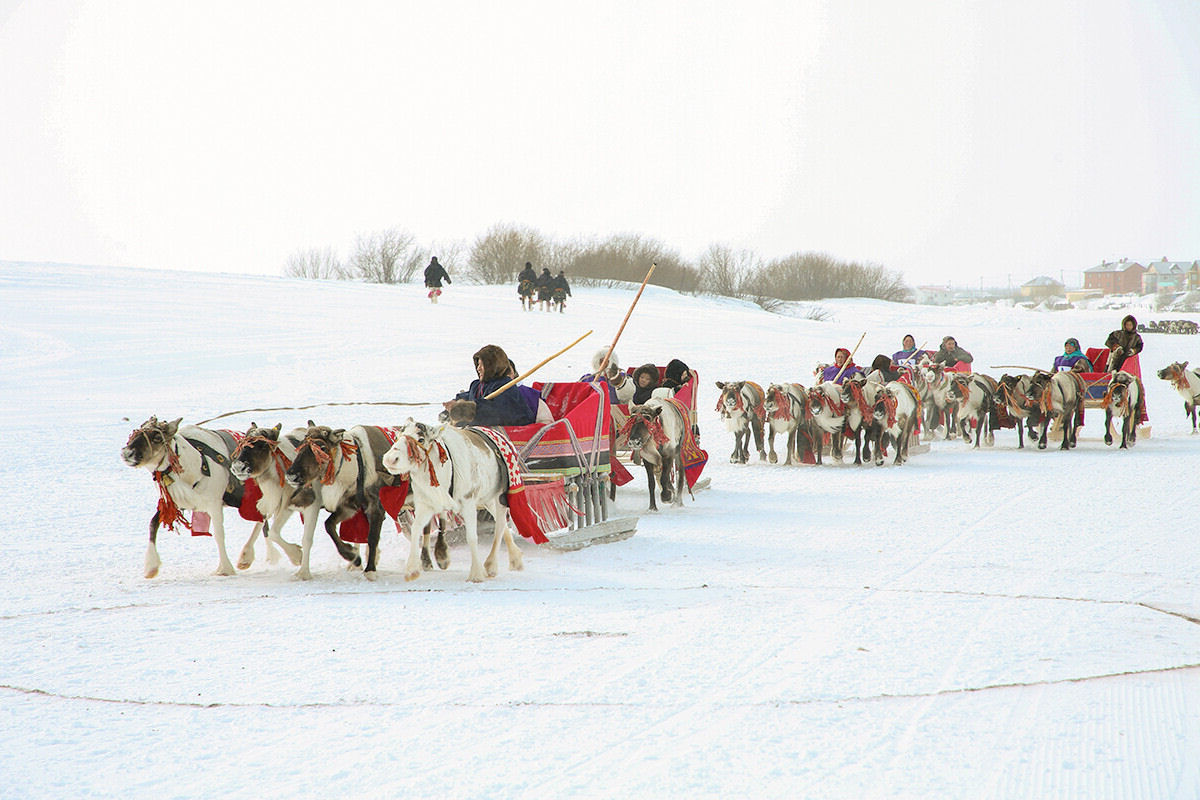 A Pennsula de Yamal tem um dia para comemorar o pastor de renas