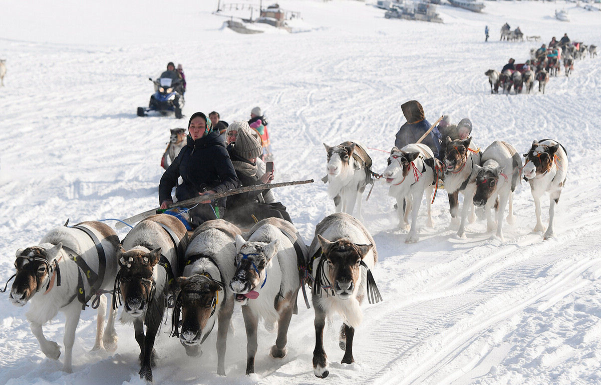 A Pennsula de Yamal tem um dia para comemorar o pastor de renas