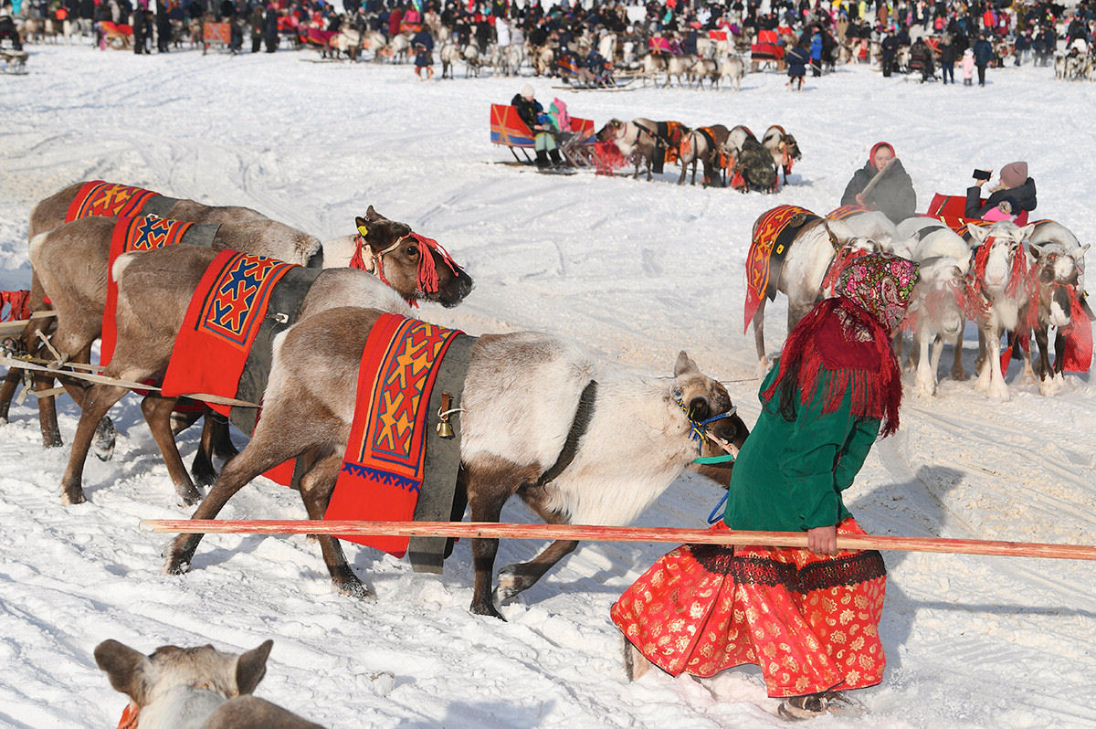 A Pennsula de Yamal tem um dia para comemorar o pastor de renas