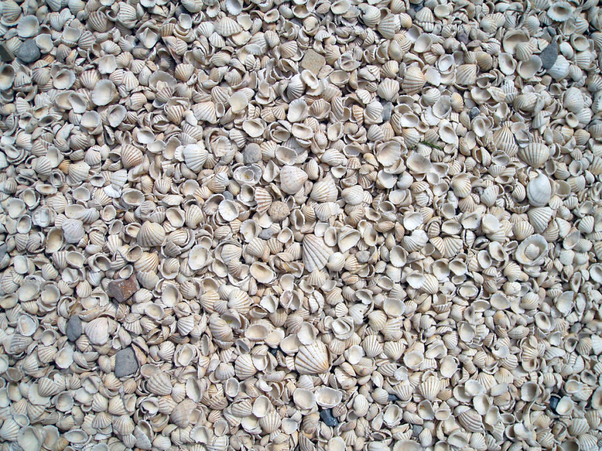 Fadiouth, a ilha feita de conchas 08