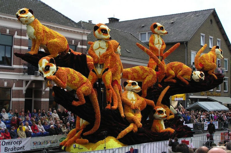 Os alucinantes carros alegricos feitos com flores do festival Corso na Holanda 15