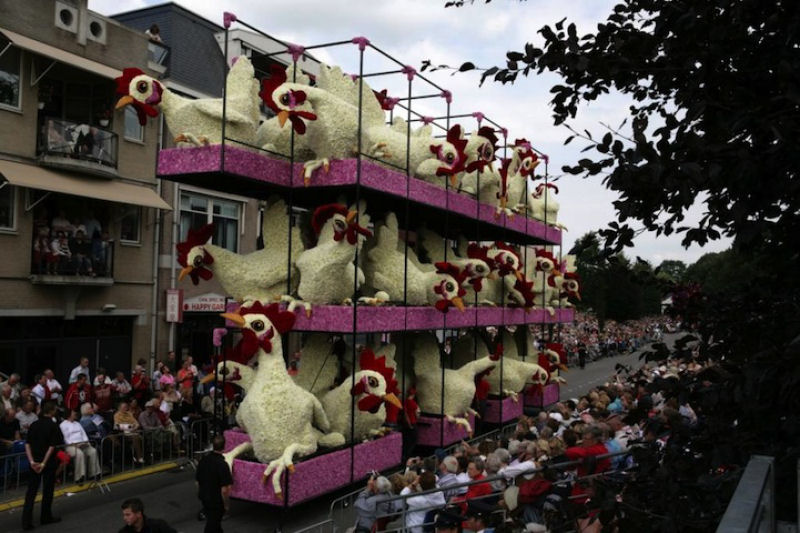Os alucinantes carros alegricos feitos com flores do festival Corso na Holanda 19