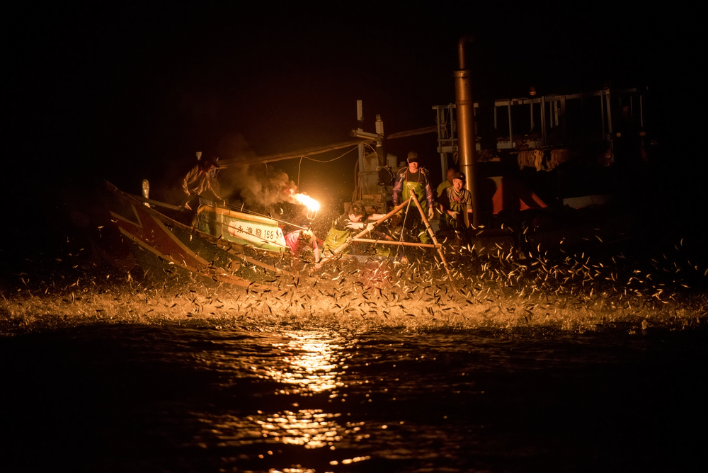 Apanhando as brasas da tradio moribunda da pesca com fogo em Taiwan