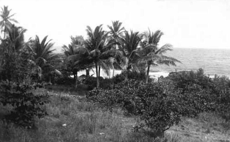 Ilha de Banaba: um paraso tropical que foi trucidado pela minerao 02