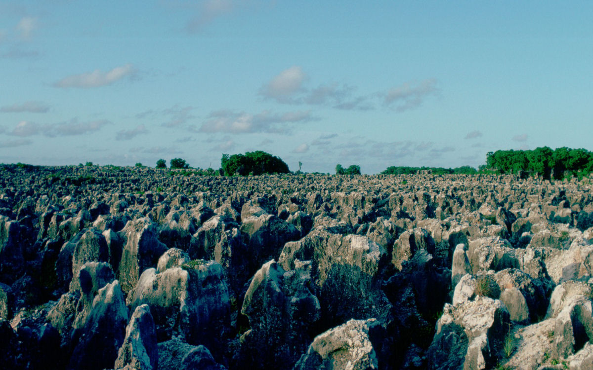Nauru: um pas insular arrasado pela minerao de fosfato 10