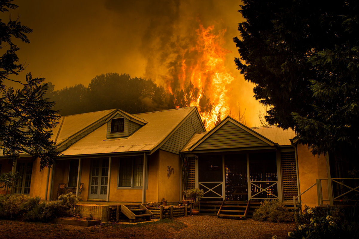 Os terrveis incndios australianos podem ter cobrado a vida de meio bilho de animais