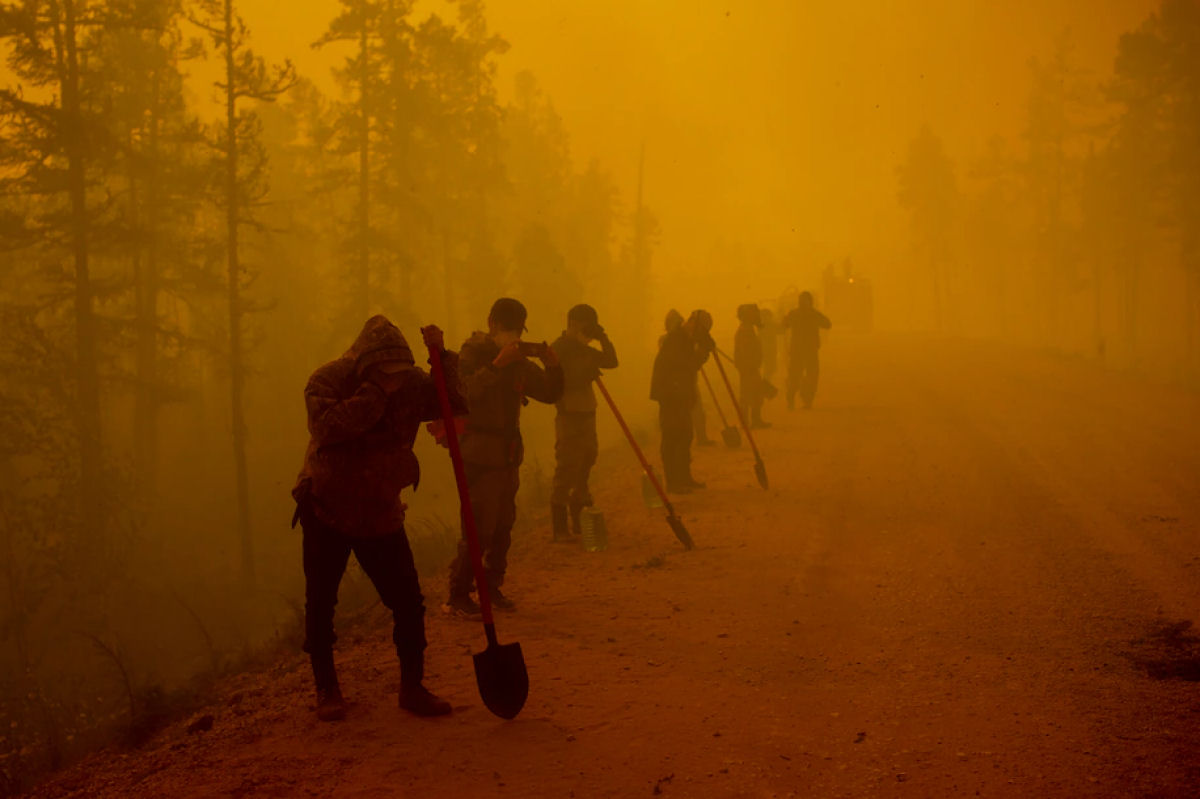 Incêndios florestais na Sibéria agora são maiores do que todos os outros incêndios no mundo juntos