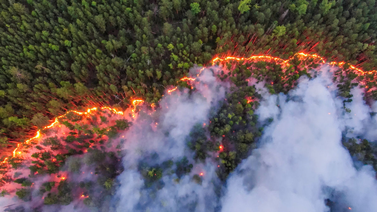 As imagens chocantes dos incêndios florestais causados pela onda de calor sem precedentes na Sibéria 01