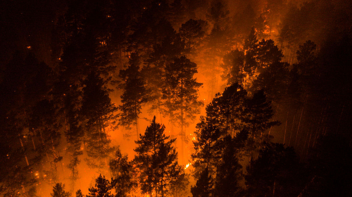 As imagens chocantes dos incêndios florestais causados pela onda de calor sem precedentes na Sibéria 04