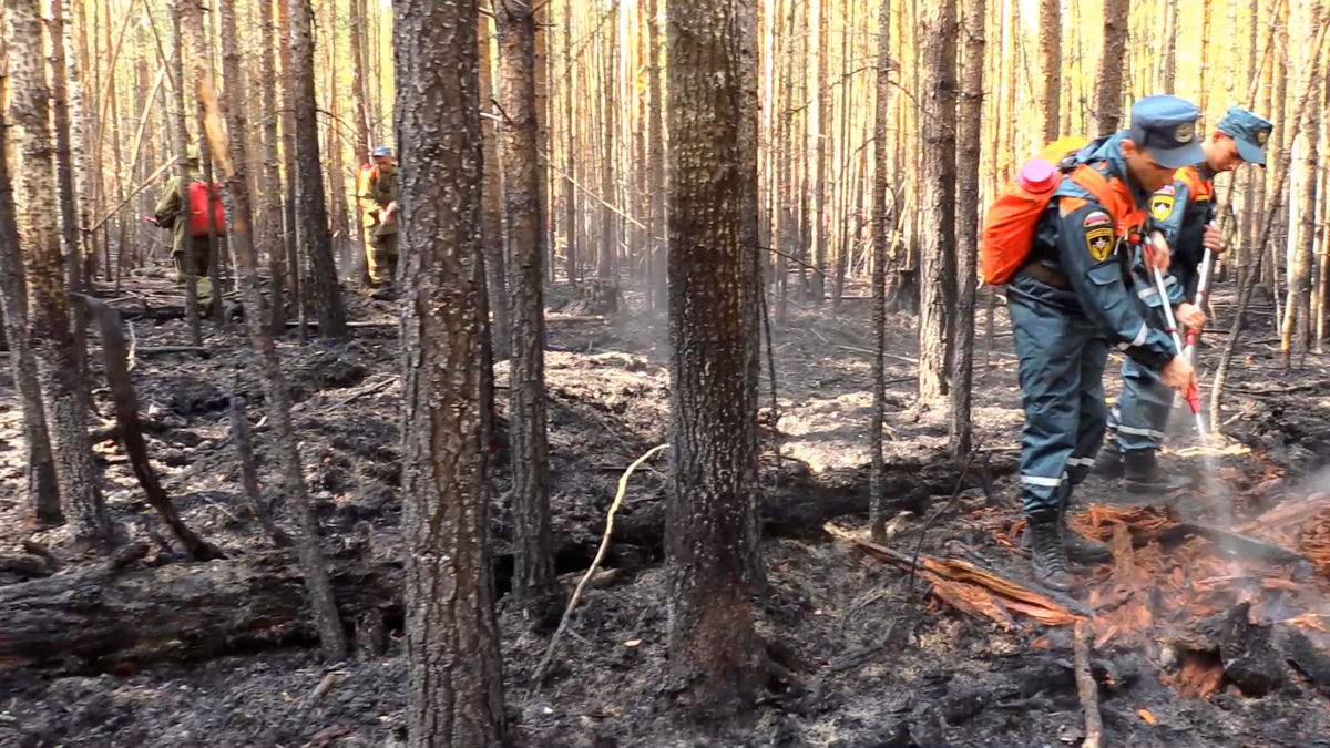 As imagens chocantes dos incêndios florestais causados pela onda de calor sem precedentes na Sibéria 05
