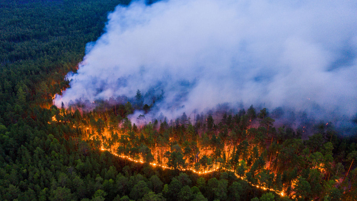 As imagens chocantes dos incêndios florestais causados pela onda de calor sem precedentes na Sibéria 06