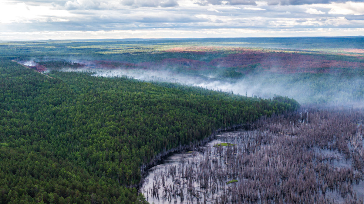 As imagens chocantes dos incêndios florestais causados pela onda de calor sem precedentes na Sibéria 07