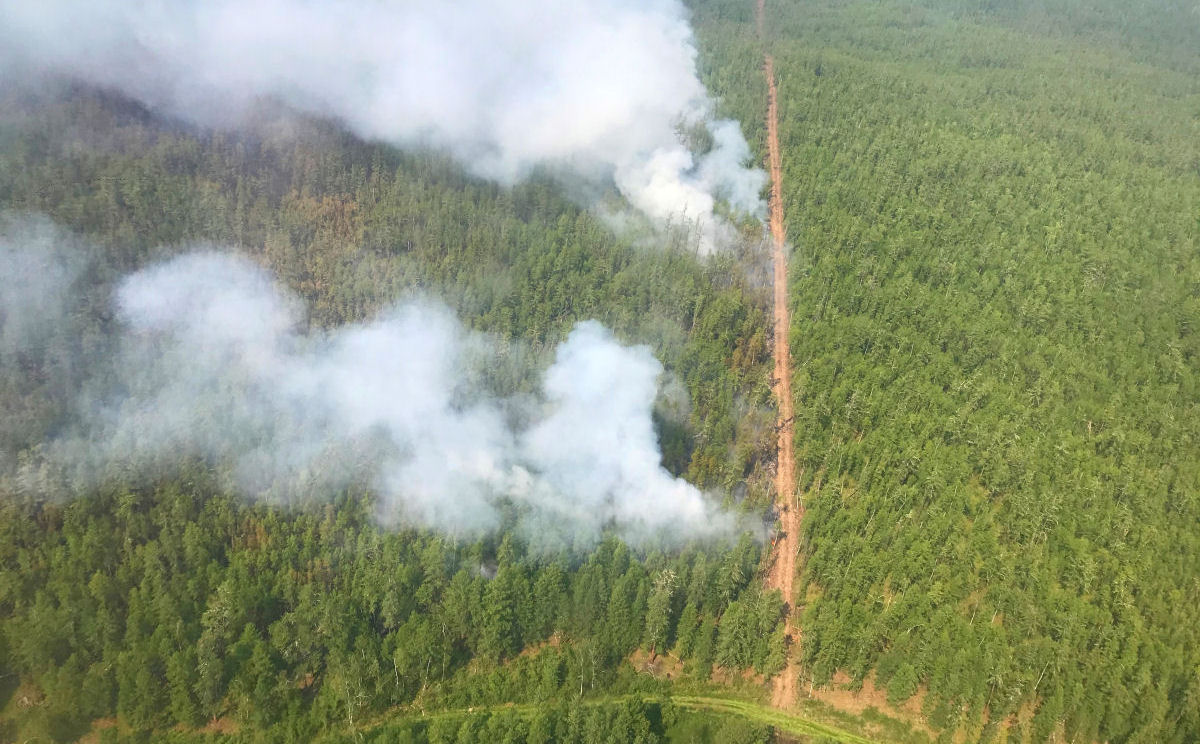 As imagens chocantes dos incêndios florestais causados pela onda de calor sem precedentes na Sibéria 08