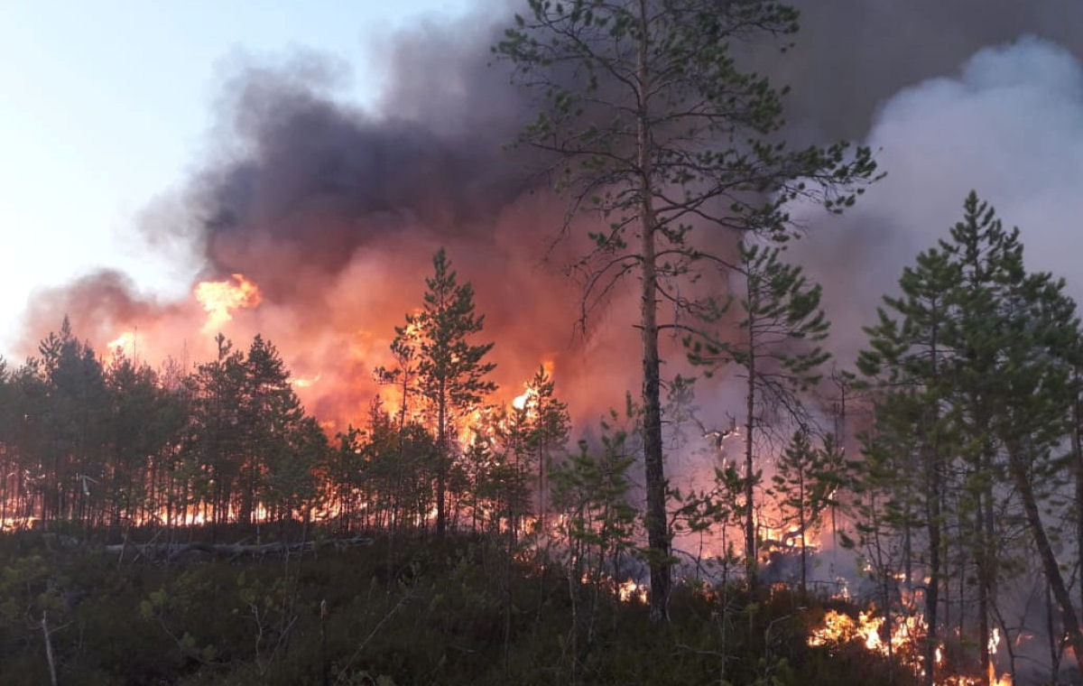 As imagens chocantes dos incêndios florestais causados pela onda de calor sem precedentes na Sibéria 09