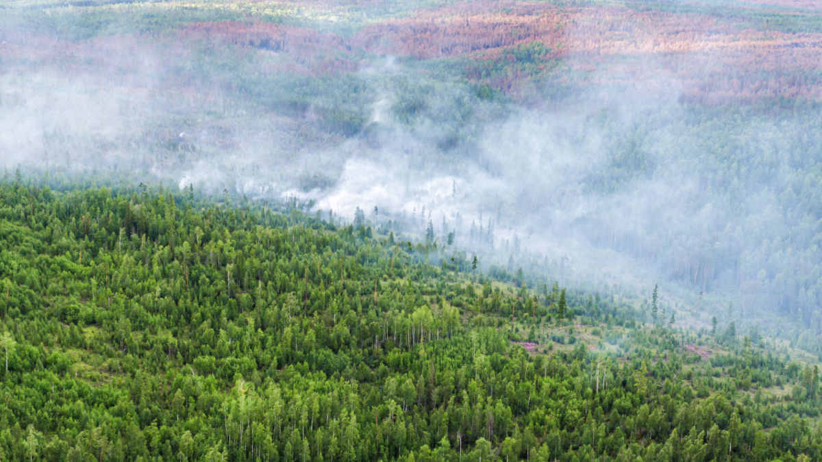 As imagens chocantes dos incêndios florestais causados pela onda de calor sem precedentes na Sibéria 10