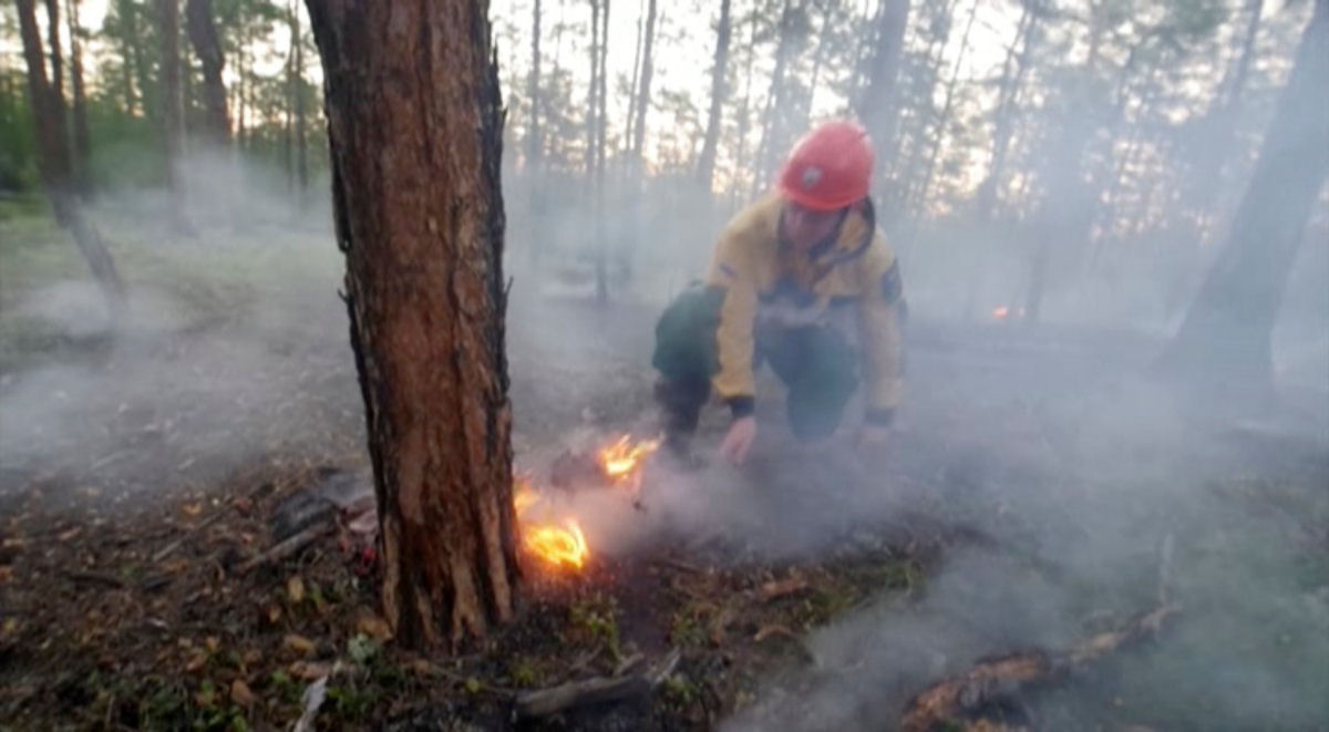 As imagens chocantes dos incêndios florestais causados pela onda de calor sem precedentes na Sibéria 11