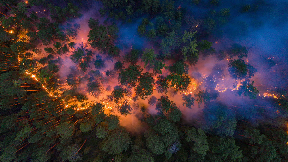 As imagens chocantes dos incêndios florestais causados pela onda de calor sem precedentes na Sibéria 12