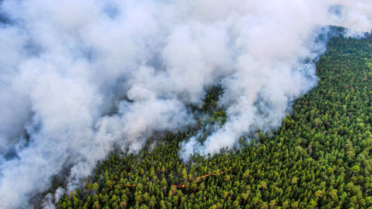 As imagens chocantes dos incêndios florestais causados pela onda de calor sem precedentes na Sibéria 13
