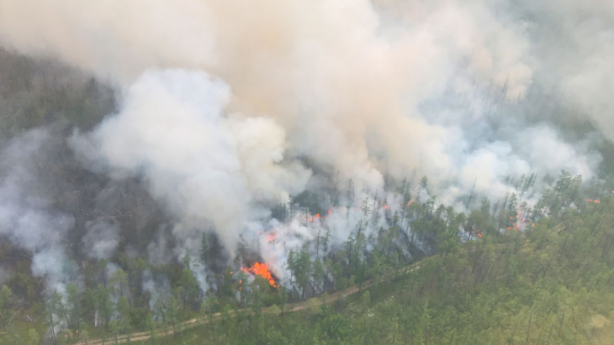 As imagens chocantes dos incêndios florestais causados pela onda de calor sem precedentes na Sibéria 14