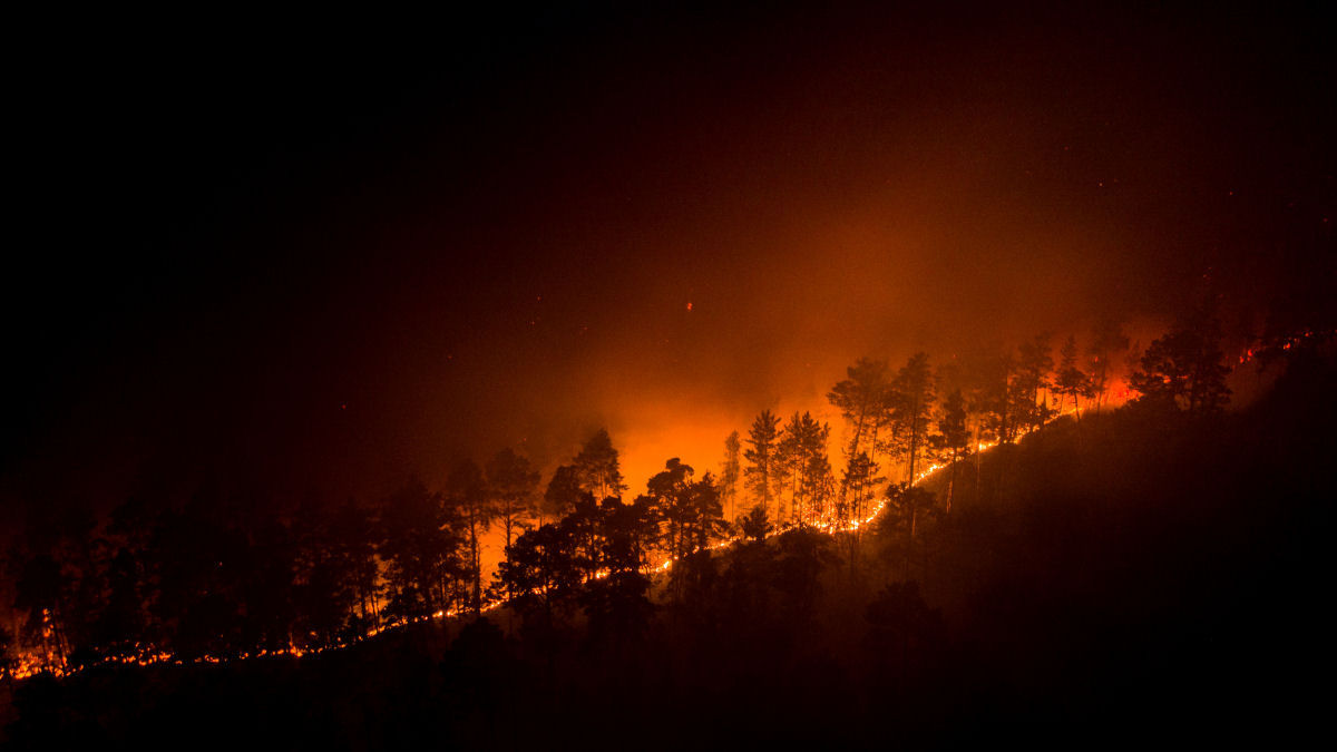 As imagens chocantes dos incêndios florestais causados pela onda de calor sem precedentes na Sibéria 16