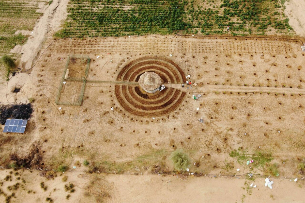 Os jardins circulares resistentes à seca do Senegal